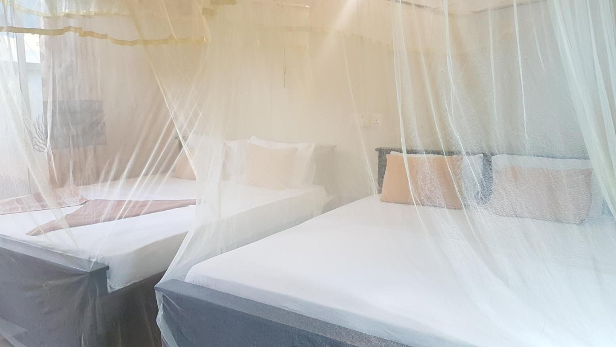 Pinki Nest Hotell Mirissa Eksteriør bilde